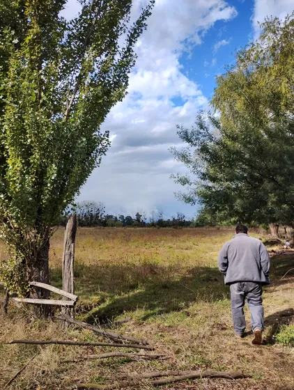 Parcela Agricola Con Casa, Superficie De Terreno 55.544m2