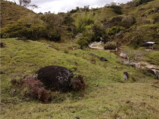 Hermoso Lote En Venta Vereda Toscana -  Alejandría 