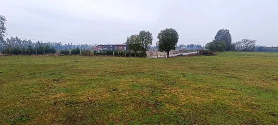 Vendo Parcelas Sector Fundo El Carmen Temuco (98097)