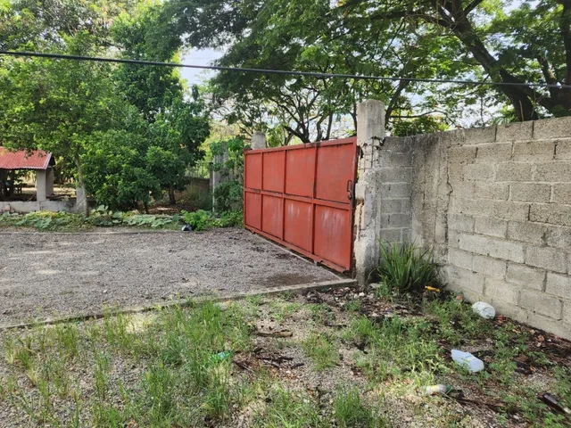 Granja Avicola Ventas La Ciénaga 