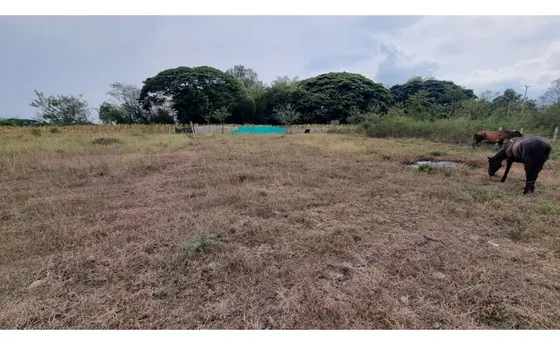 Lote Terreno De 1.000m2 En Venta Santa Elena El Cerrito Valle Colombia