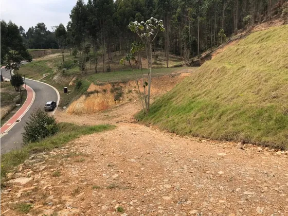 Hermoso Lote El Retiro Via Don Diego Llanogrande