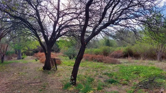 Venta De Terrenos En Las Tapias Traslasierra Cordoba Sobre Ruta