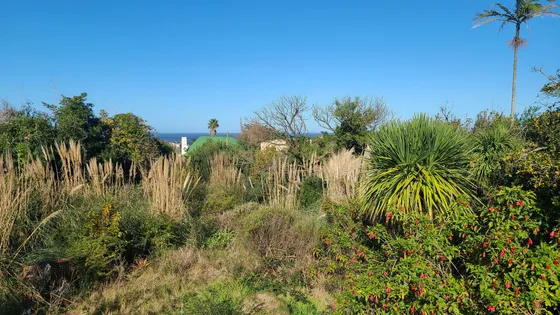 Lote Con Vista Al Mar En El Chorro, Manantiales