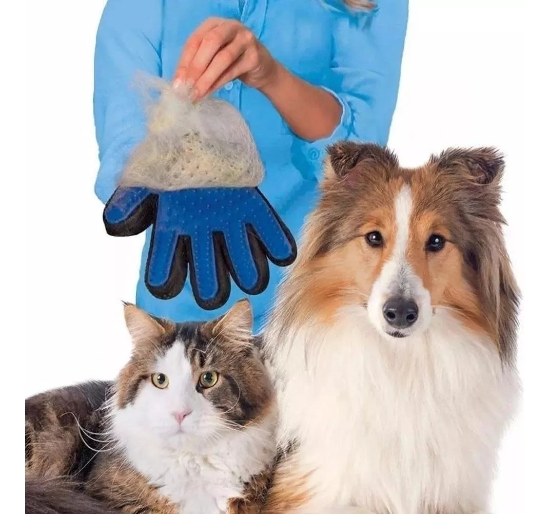 Imagem Adicional do Produto
