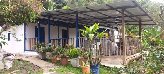 Venta Finca Cafetera Vía Costa Rica Ginebra Valle Del Cauca Colombia