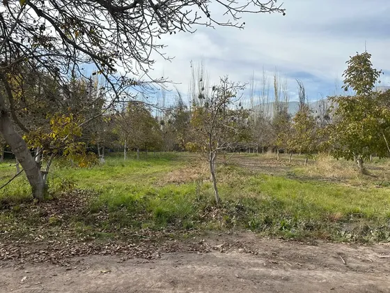 Hermoso Terreno Plano En Exclusivo Sector Pirque