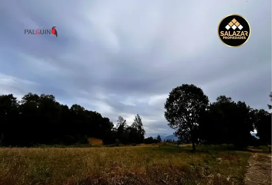 Parcelas Exclusivas En Reserva Palguin Panguipulli Lote 9
