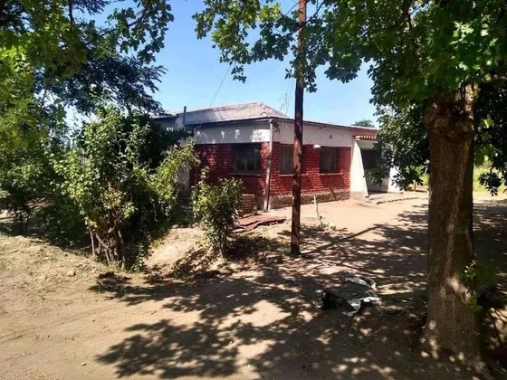 Campo En Venta - 3 Dormitorios 1 Baño - 10.000mts2 - General Alvear
