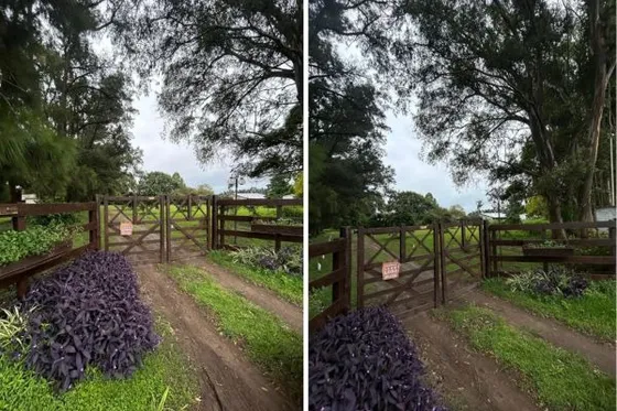 12 Hectáreas De Campo En Venta - Ruta 9, Baradero 