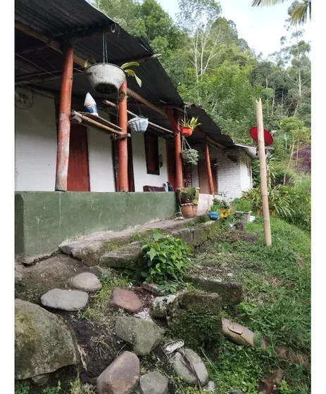 Se Vende Finca Palestina Salento Quindío 