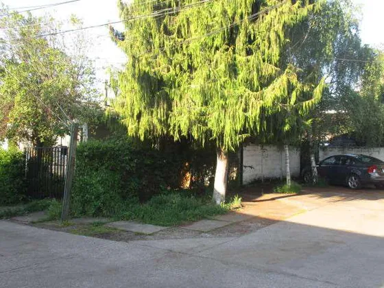 Excelente Casa En El Centro De Curicó