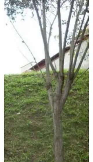 Venta Terreno 600m2 La Boyera 3052