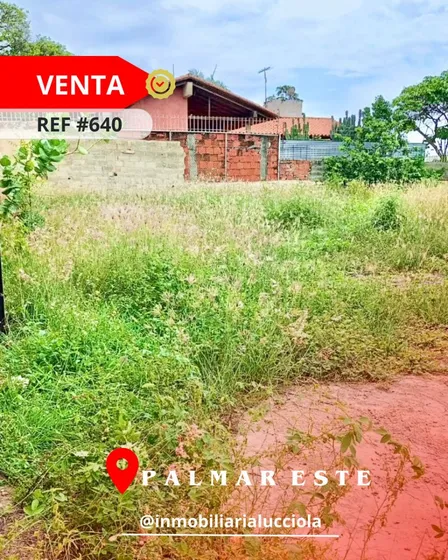 Te Ofrecemos En Venta Potencial Terreno Ubicado En  Palmar Este-la Guaira Ref 640