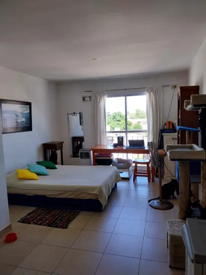Excelente Departamento Monoambiente En Haedo.