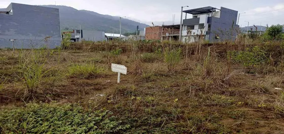 Lote En Venta En La Romelia-el Pollo/dosquebradas (279061266).