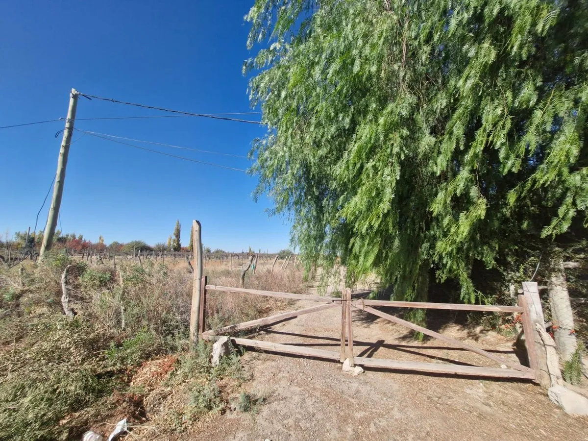 Land/Farm Plot – 24,996 m², Aguilera Street, Angaco