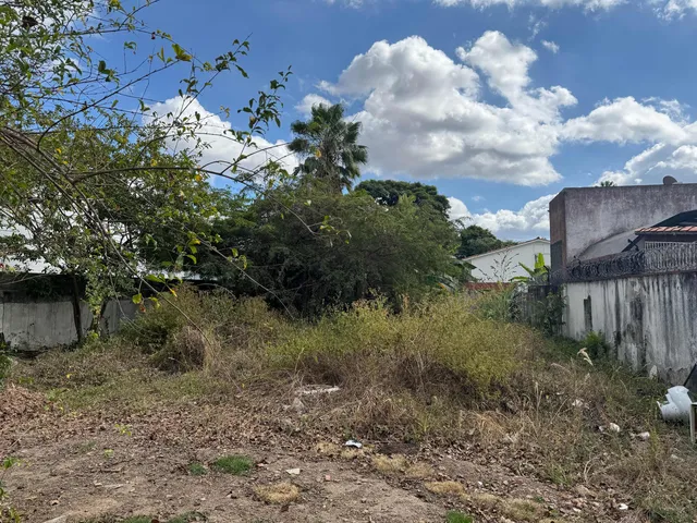 Estupendo Terreno Totalmente Plano De 600 M2 En La Floresta