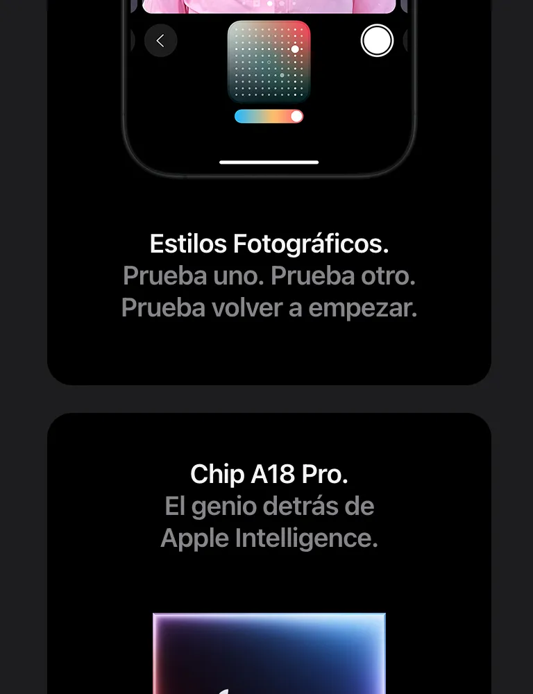 descripción