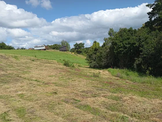 Venta Parcela 5000mts La Union