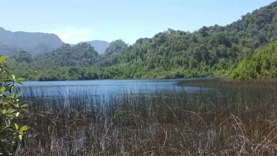 Vendo Fundo De 776 Hectareas. Estuario De Reloncavi. Cochamo