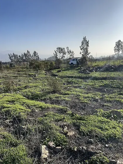 Parcela 5000 M² Altovalsol- Valle De Elqui