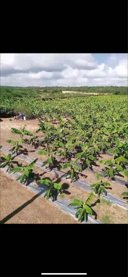 Vendo Esta Hermosa Finca De 50 Tareas En Cumayasa