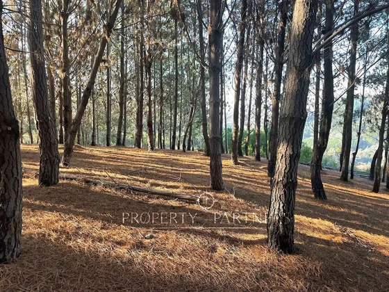 Matanzas, Terreno En Condominio Reserva El Maitén