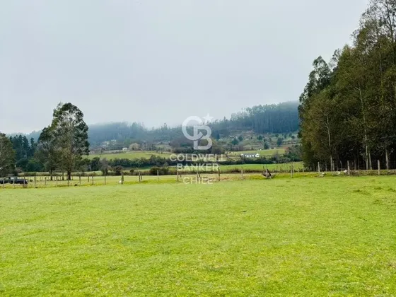 Maravilloso Campo En Futrono.