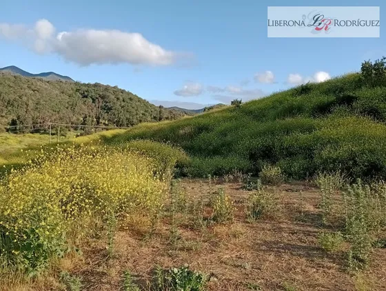 Parcela En Venta En Quillota