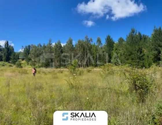 Venta Parcela 2.700 M2 Sector Lucay A 45 Km De Concepcion.