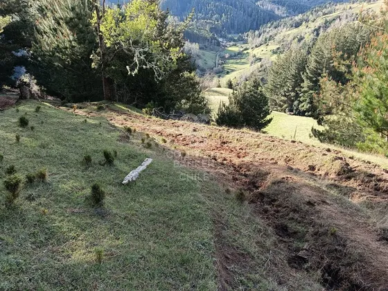 Se Vende Campo De 33 Hectáreas