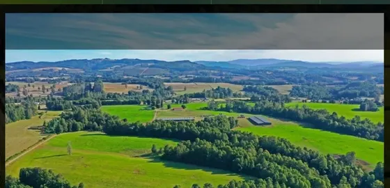 Agrícola En Venta En Paillaco