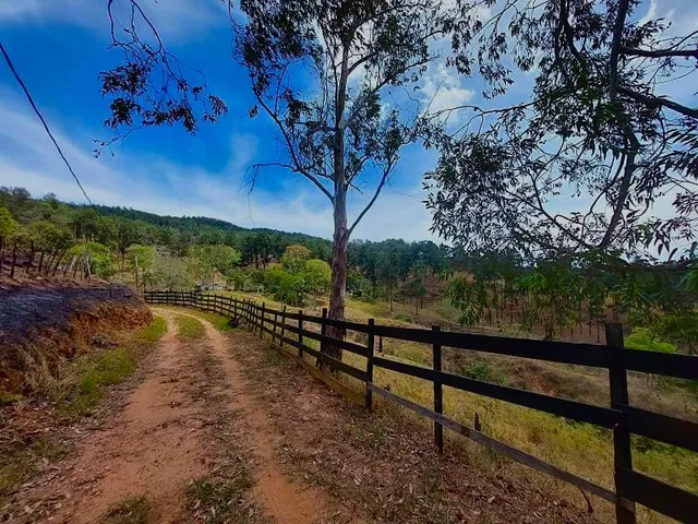 Finca Ganadera En Venta Estado Miranda Rj