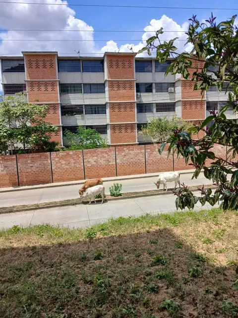 Comoda Planta Baja De 74 M2 En Obra Gris. Conjunto Residencial La Moncloa - Guarenas