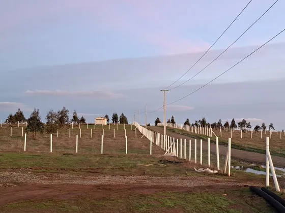 Terreno  En Praderas Del Itata, Ñuble