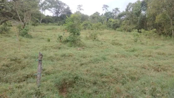 Lote 12.169m2 En Arbelaéz, Cundinamarca, Vereda Santa Barbara, Sector La Hoya