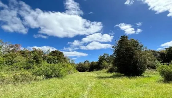 Ensenada / Parque Nacional Vicente Pérez Rosales