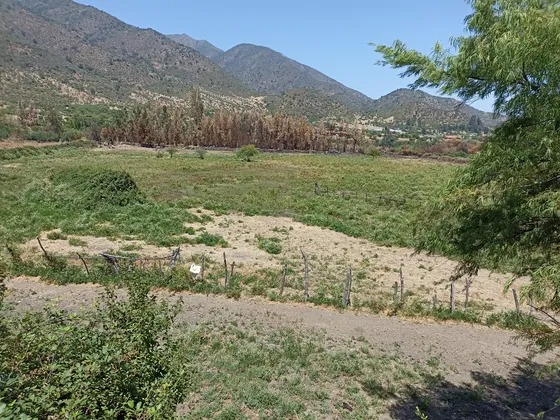 Parcela 5 Hectáreas Con Agua Potable Y Luz Malloa
