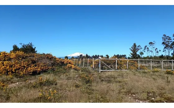 Alerce Parcela 5000 M2 Conlinda Con Estero Rio Negro