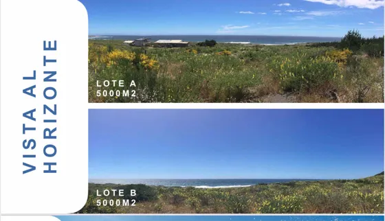 Lote De 5.000 Mt Curanipe, Playa Sirena Com Sus Roles