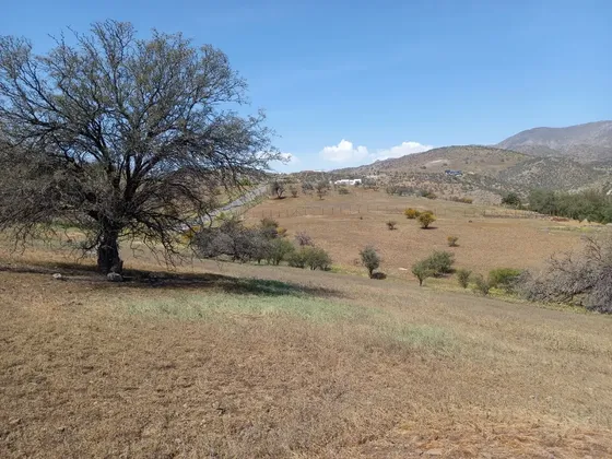 Venta Parcela En Condominio Hacienda Chacabuco
