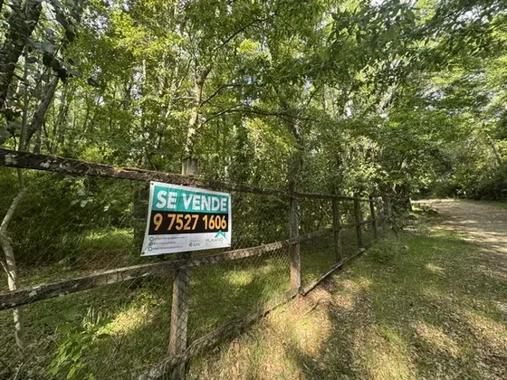 Venta Terreno En Pinto Sector Recinto 