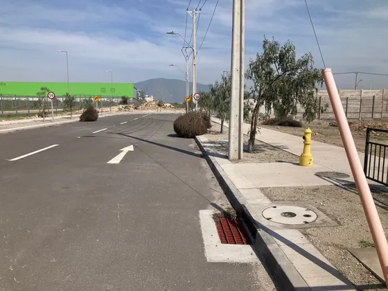 Industrial Molesto Desde 2.100 M2 Los Cactus