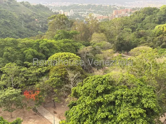 Aa Apartamento En Alquiler Los Naranjos Del Cafetal Mls #26-21389
