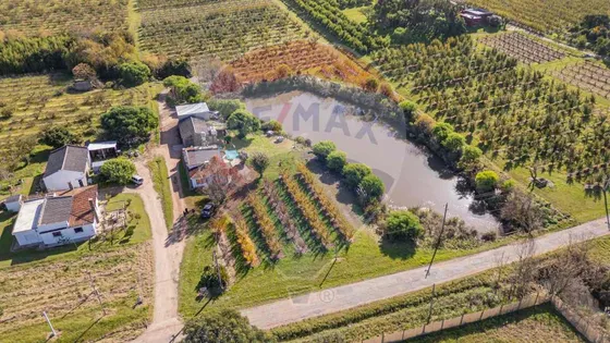 Venta Chacra En Melilla 4,7 Has Cno Los Pirinchos
