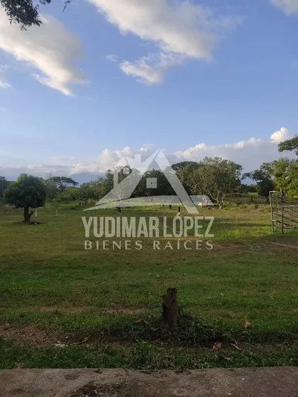 Ofrecemos En Venta Finca Ubicada En Turagua De Santa Cruz, Edo. Aragua. 