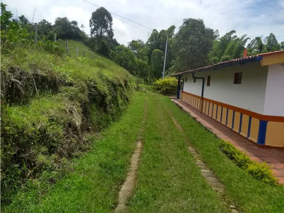 Vendo Finca Pequeña 16.500 M2 En Aranzazu Caldas