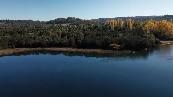 Sitio En Venta En Panguipulli