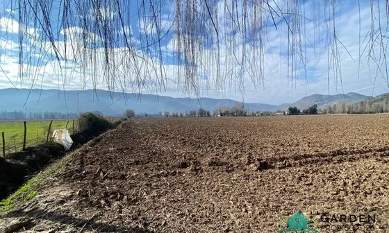 Venta 11 Hectreas, Proyecto San Jose De Toro, Nancagua